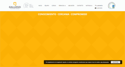 Desktop Screenshot of clinicagallego.net